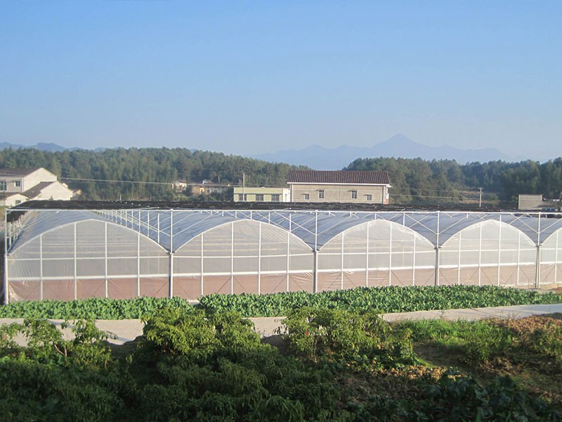 product-800-600