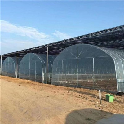 Ühe span kasvuhoone